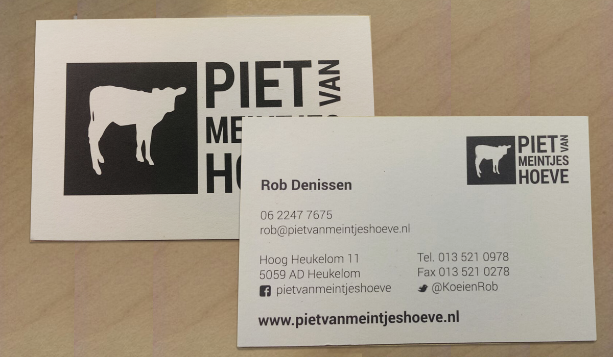 Projecten-PietvanMeintjeshoeve-website-visietkaartjes.png 